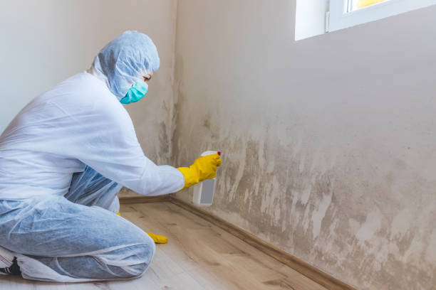 Licensed Commercial Mold Remediation service in Bryn Athyn, PA - WQB Mold Removal